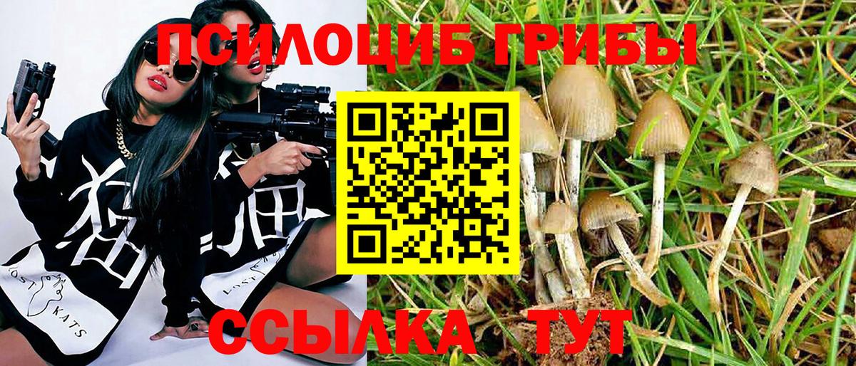 Новоалтайск  Псилоцибиновые грибы Magic Shrooms  Вход с VPN 